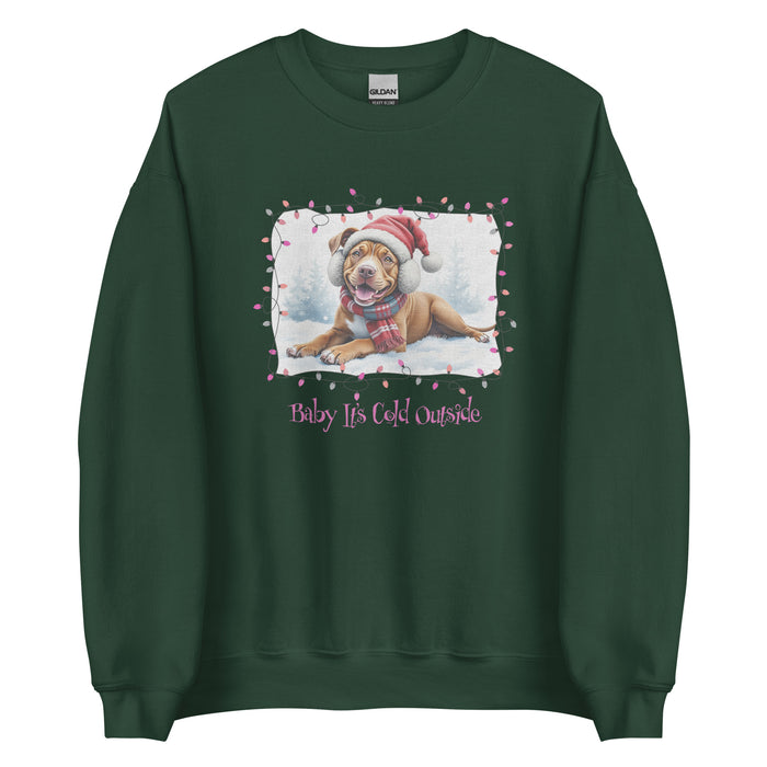 Baby It's Cold Sweatshirt