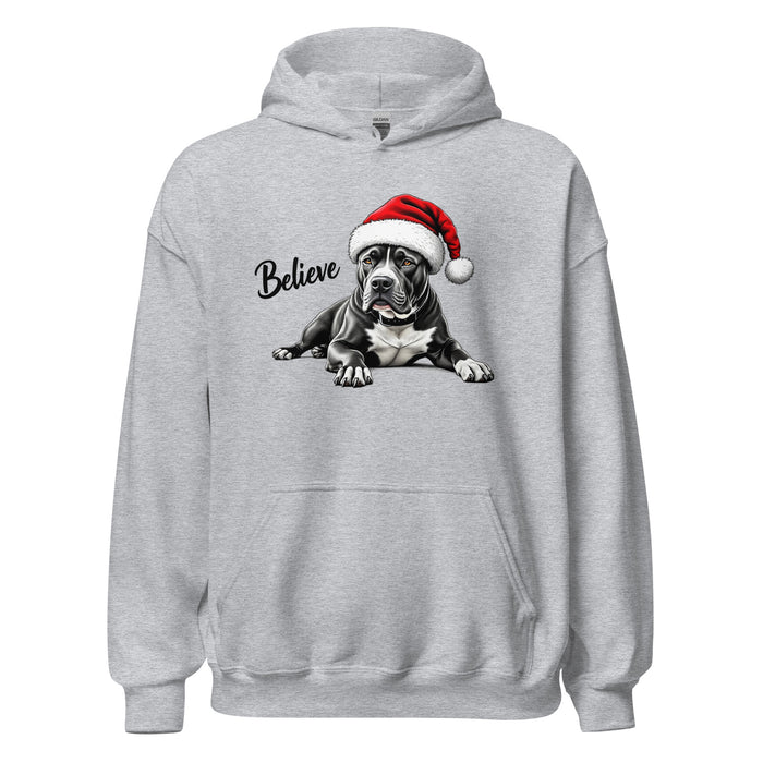 Believe Hoodie