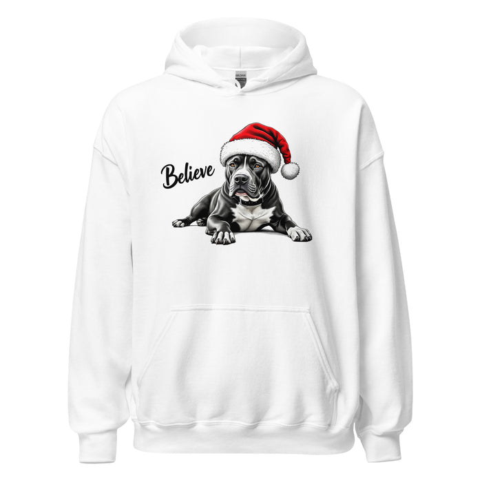 Believe Hoodie