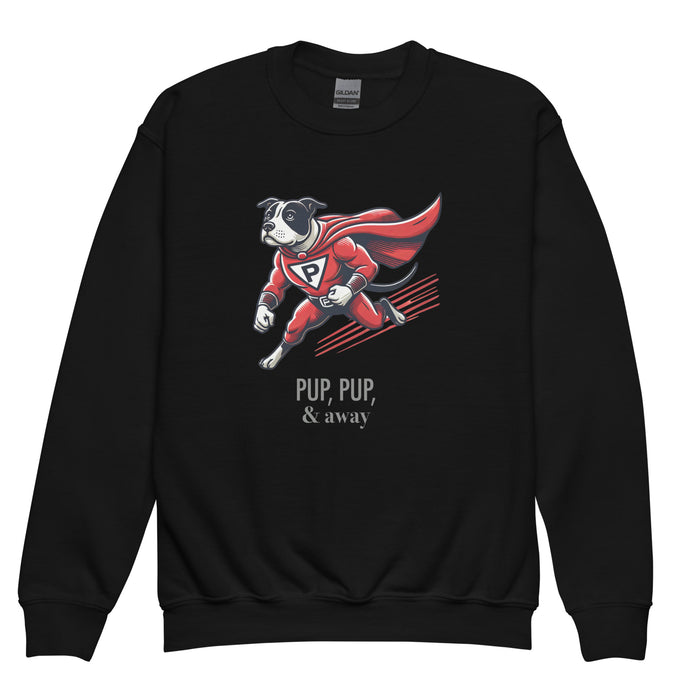 Superhero Youth Sweatshirt