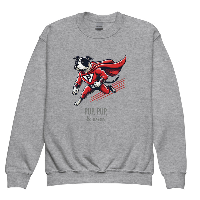 Superhero Youth Sweatshirt