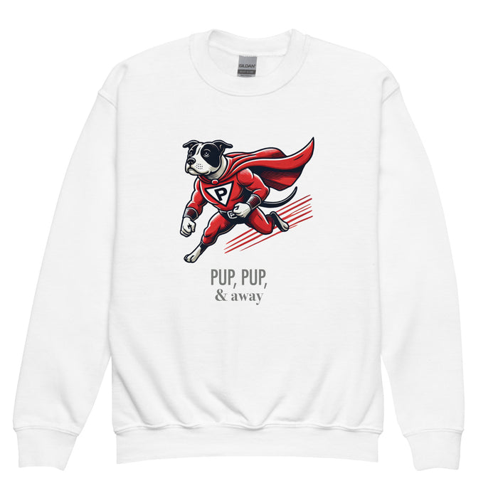 Superhero Youth Sweatshirt